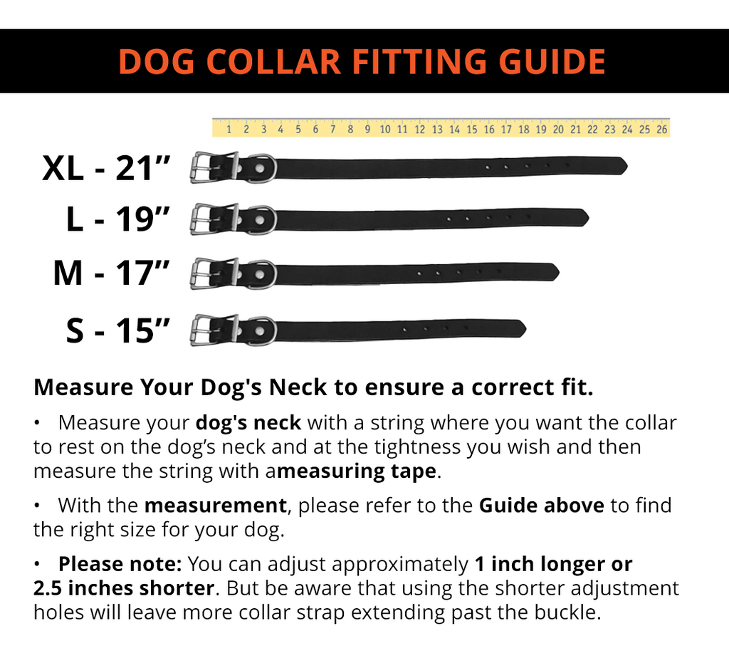 Dog Collar Decorated With Shotgun Shells