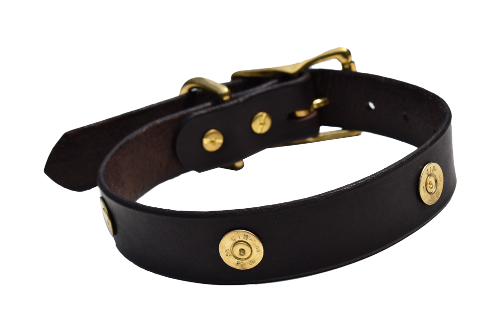 Dog Collar Decorated With Shotgun Shells