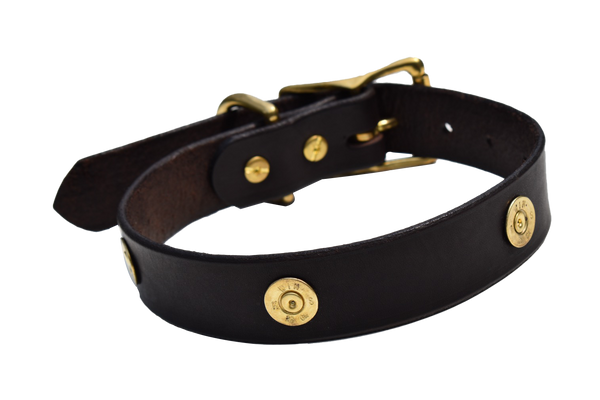 Dog Collar Decorated With Shotgun Shells