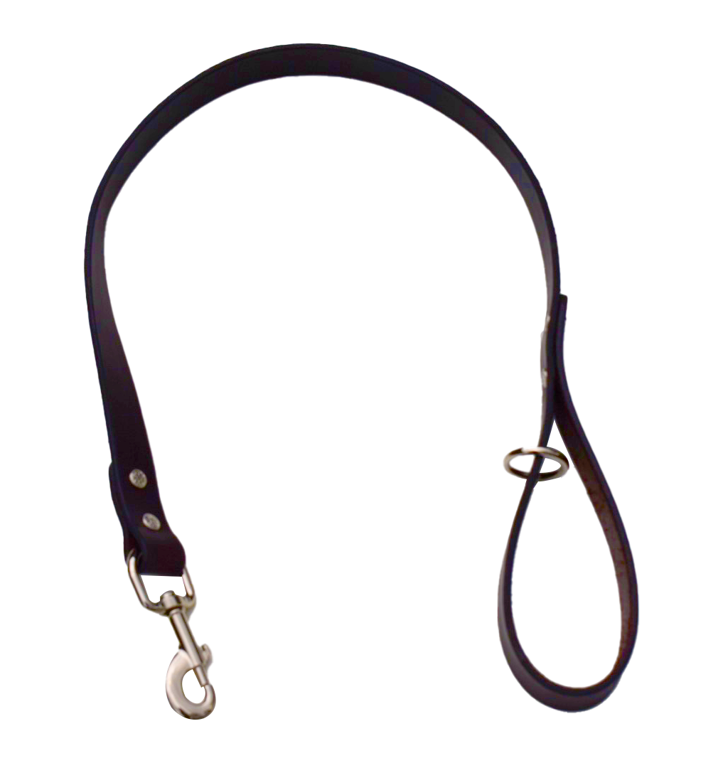 Leather Dog Leash