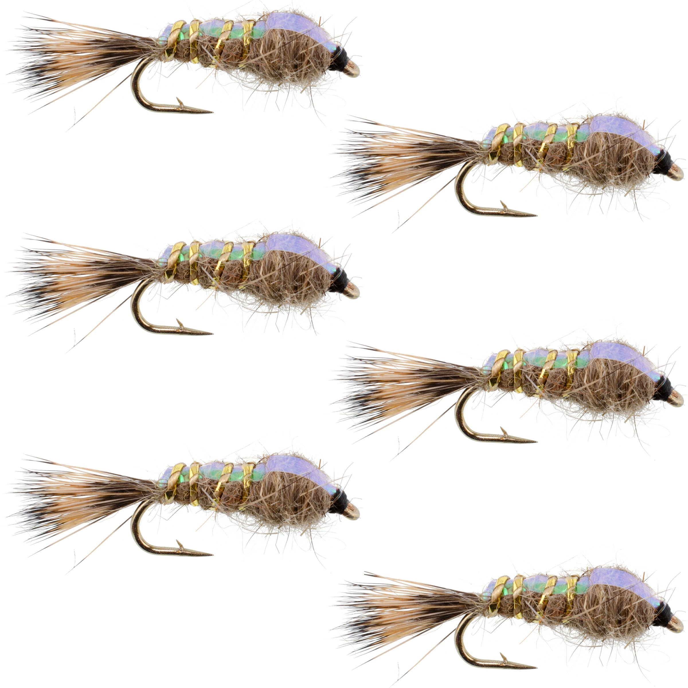 Classic Weighted Flashback Gold Ribbed Hares Ear Nymph - Set of 6 Flies - Size 16