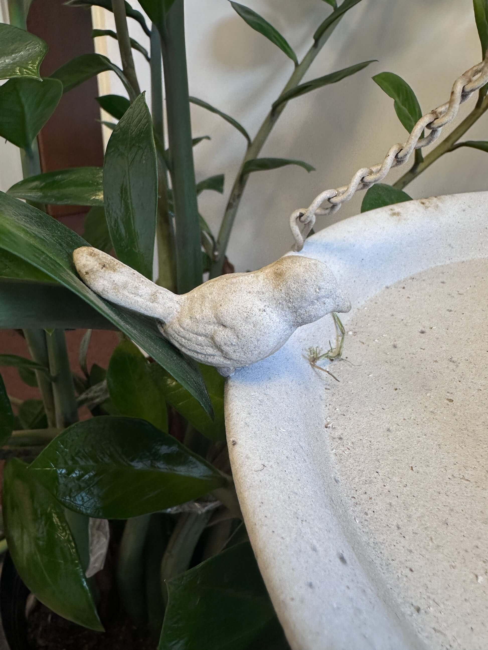 Vintage Distressed White Hanging Bird Feeder