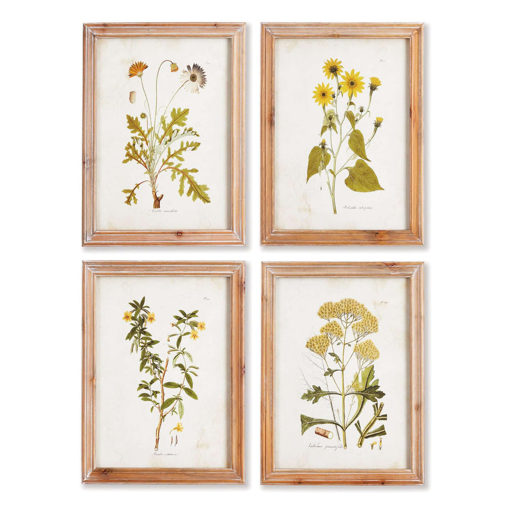 Vintage Wildflower Botanical Prints Set in Rustic Wood Frames (Set of 4)
