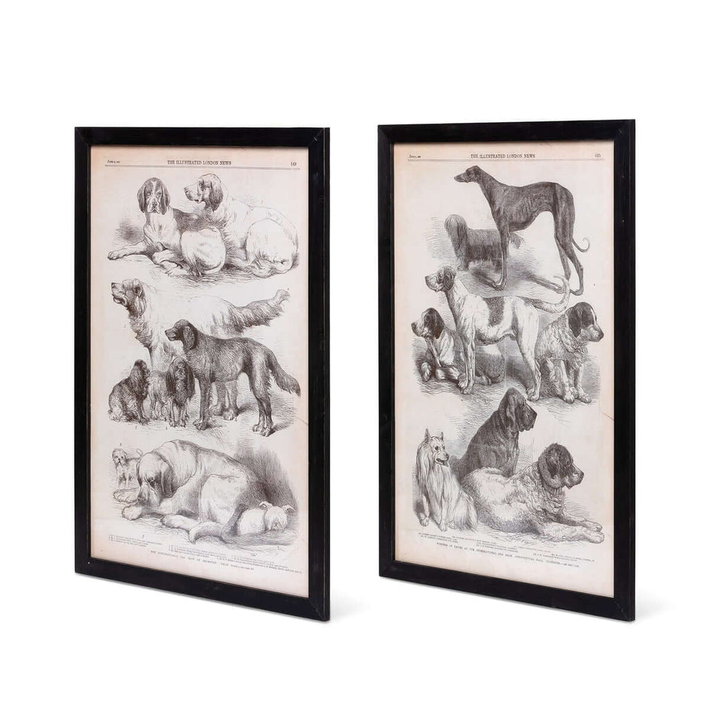Antique Dog Art Prints in Black Wood Frames (Set of 2)