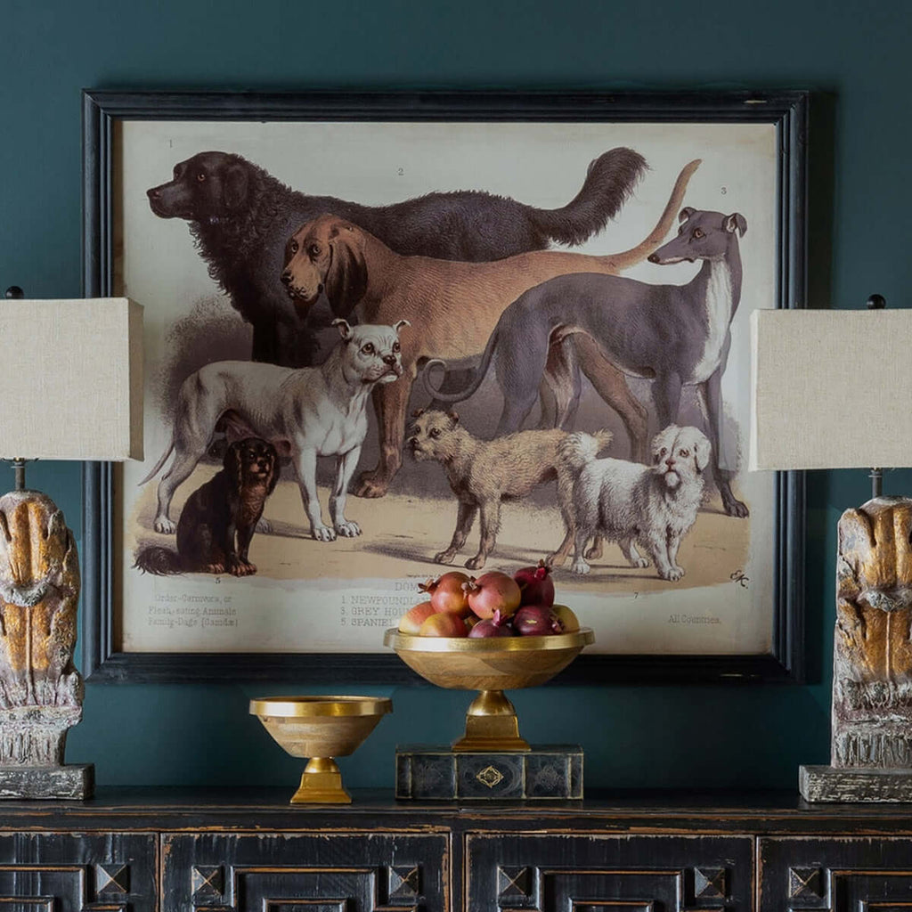 Antique Dog Breed Print in Black Frame