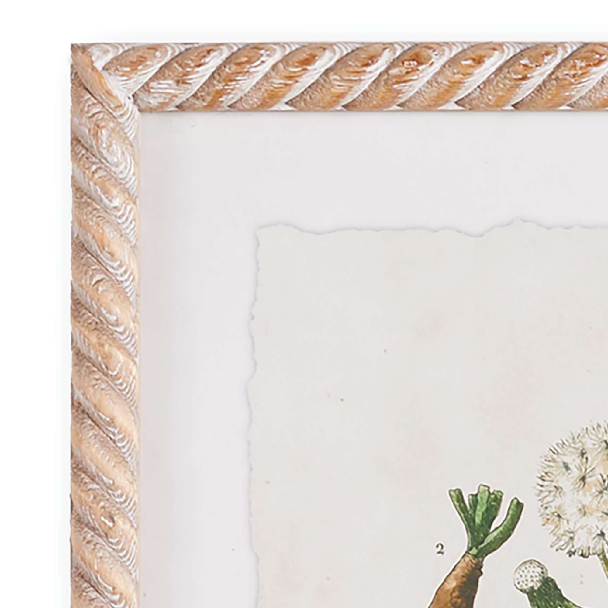 Framed Vintage Plant Illustrations for Cottagecore Decor (Set of 4)