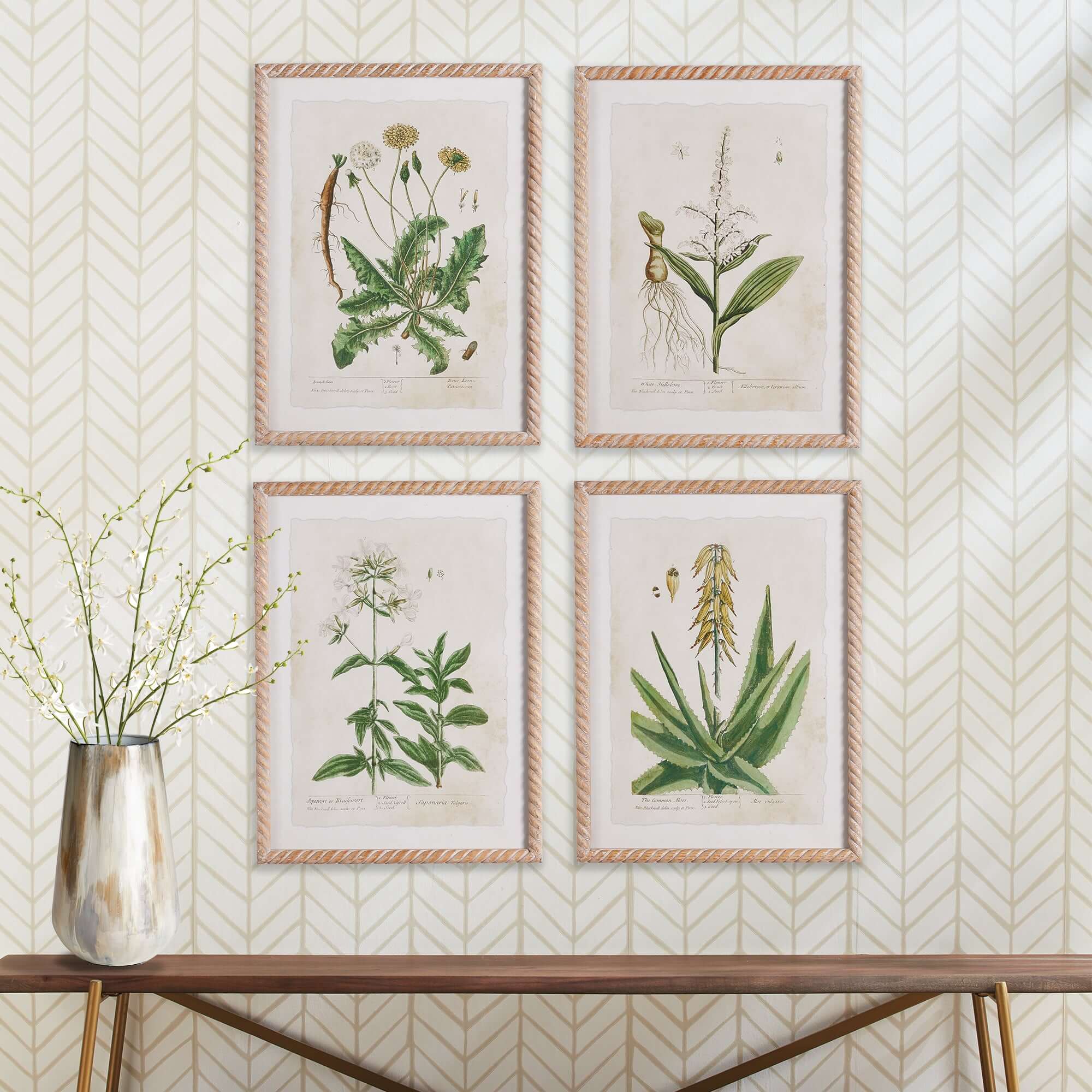 Framed Vintage Plant Illustrations for Cottagecore Decor (Set of 4)